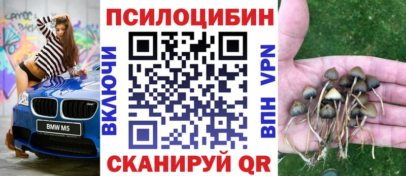 Псилоцибиновые грибы Magic Shrooms  Купить  Балахна 
